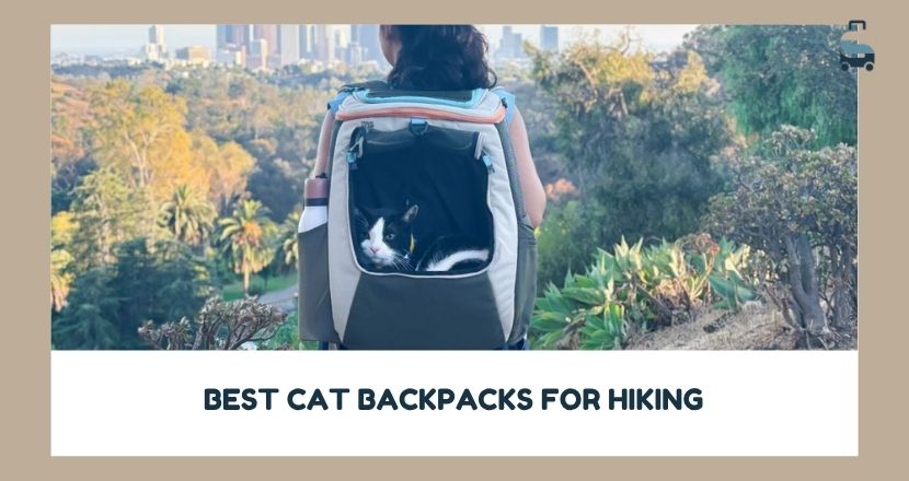 best cat backpacks for hiking