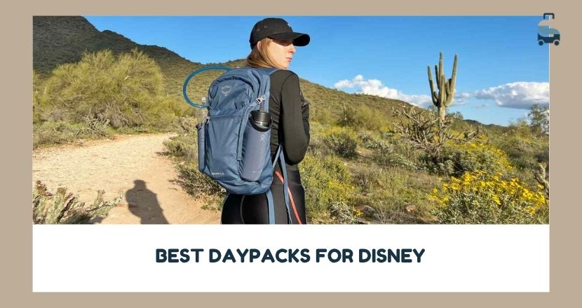 best daypacks for disney